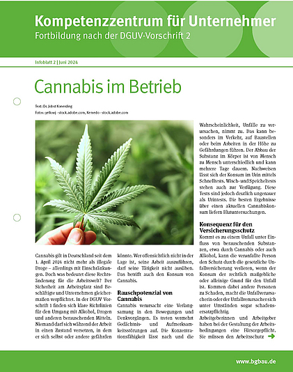 Titelbild des Kompetenzzentrums für Unternehmer - Fortbildung nach DGUV Vorschrift 2 "Cannabis im Betrieb"